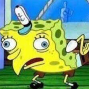 Meet your Posher, Brady